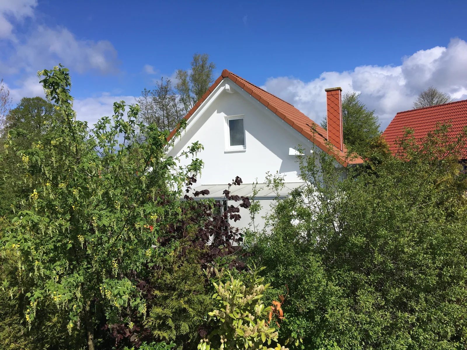 Ferienhaus am Salzhaff