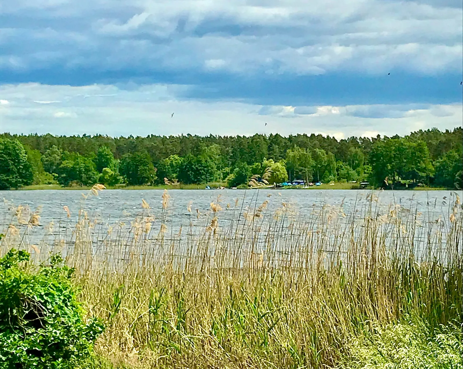 Finnhütte Seeblick