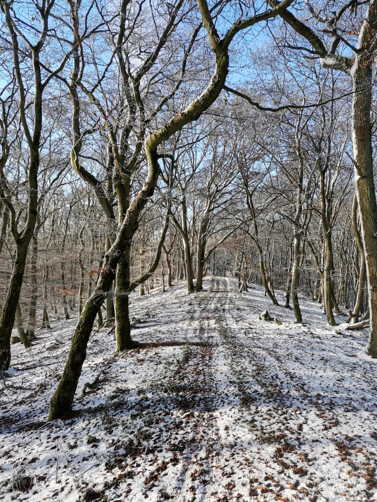 Auszeit-bei-Brandt im Sauerland