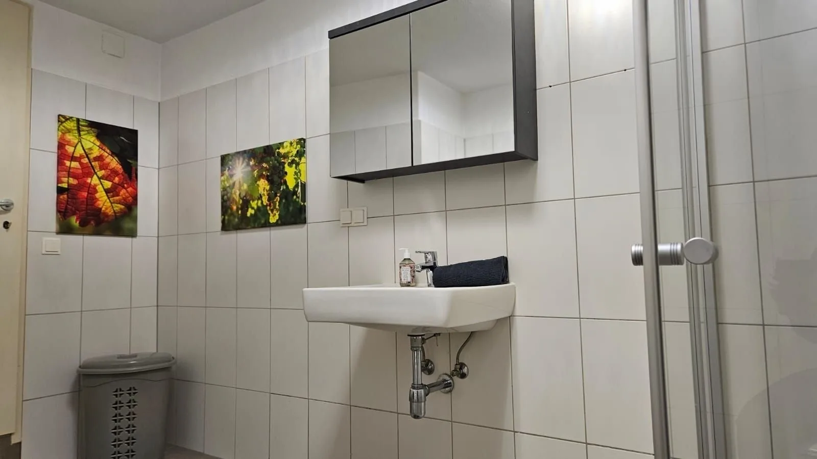 3500: Apartment KREMSTAL / Top 2