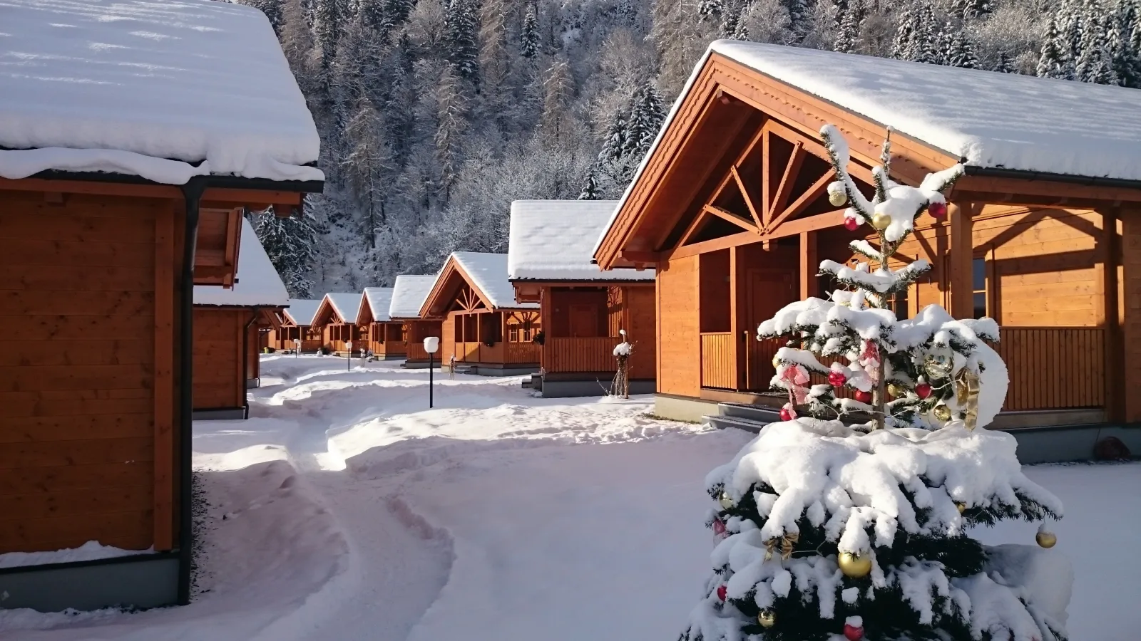 Chaletdorf ZellerSee