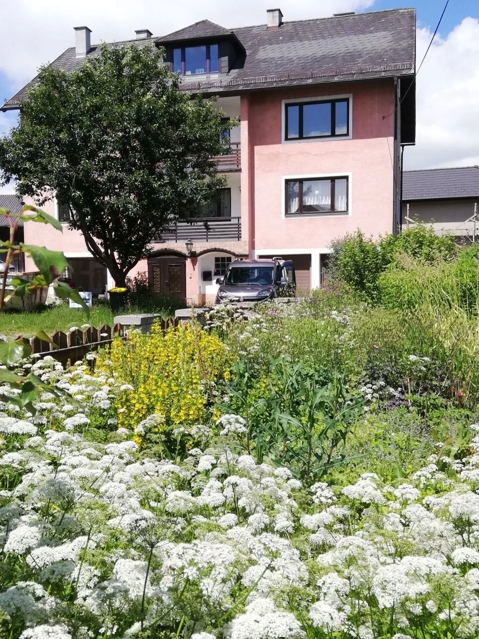 3611: HAUS HABRUCK / Top 1 D