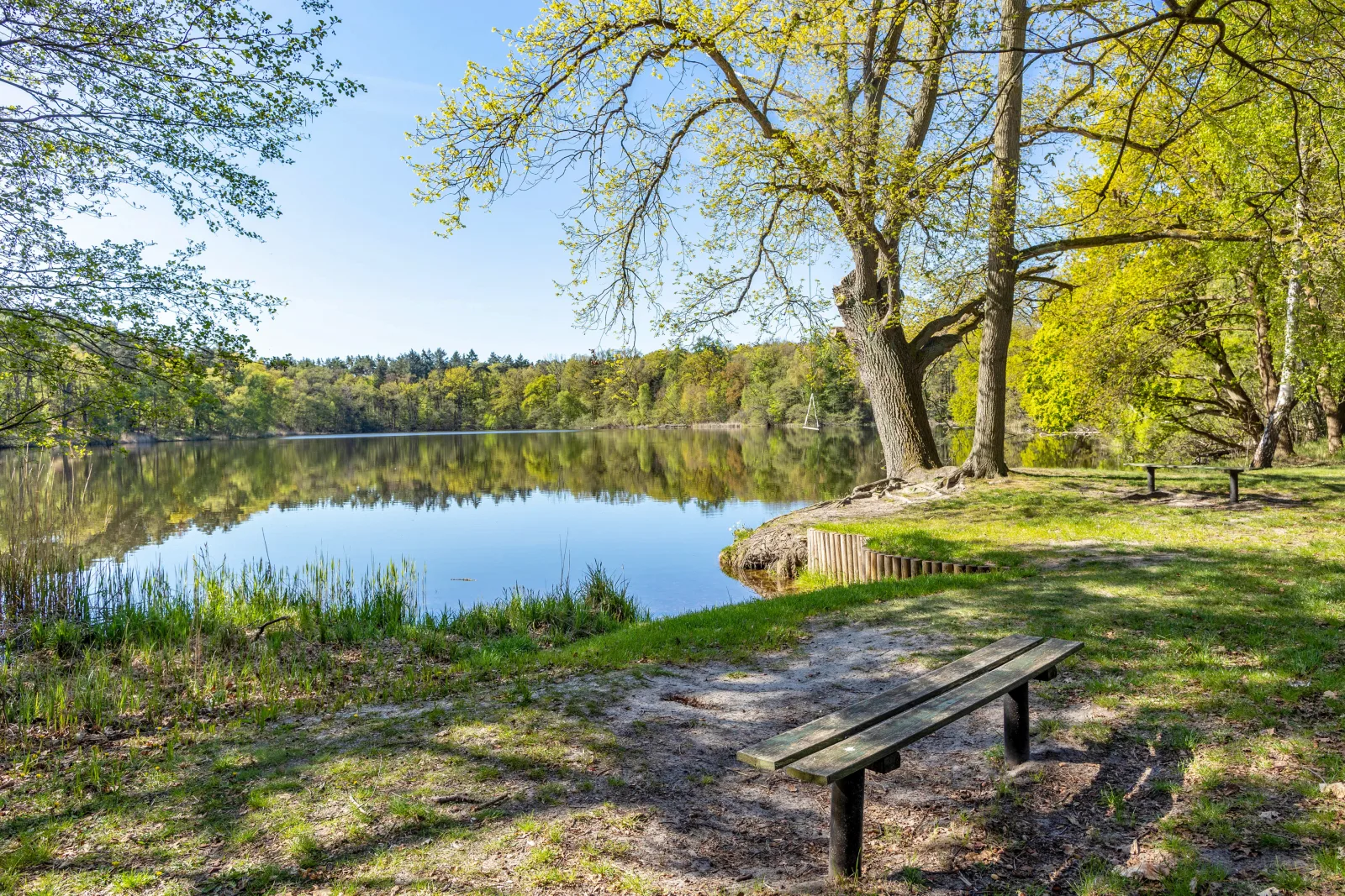 Ferienhaus Zauneidechse im Sternenpark ***