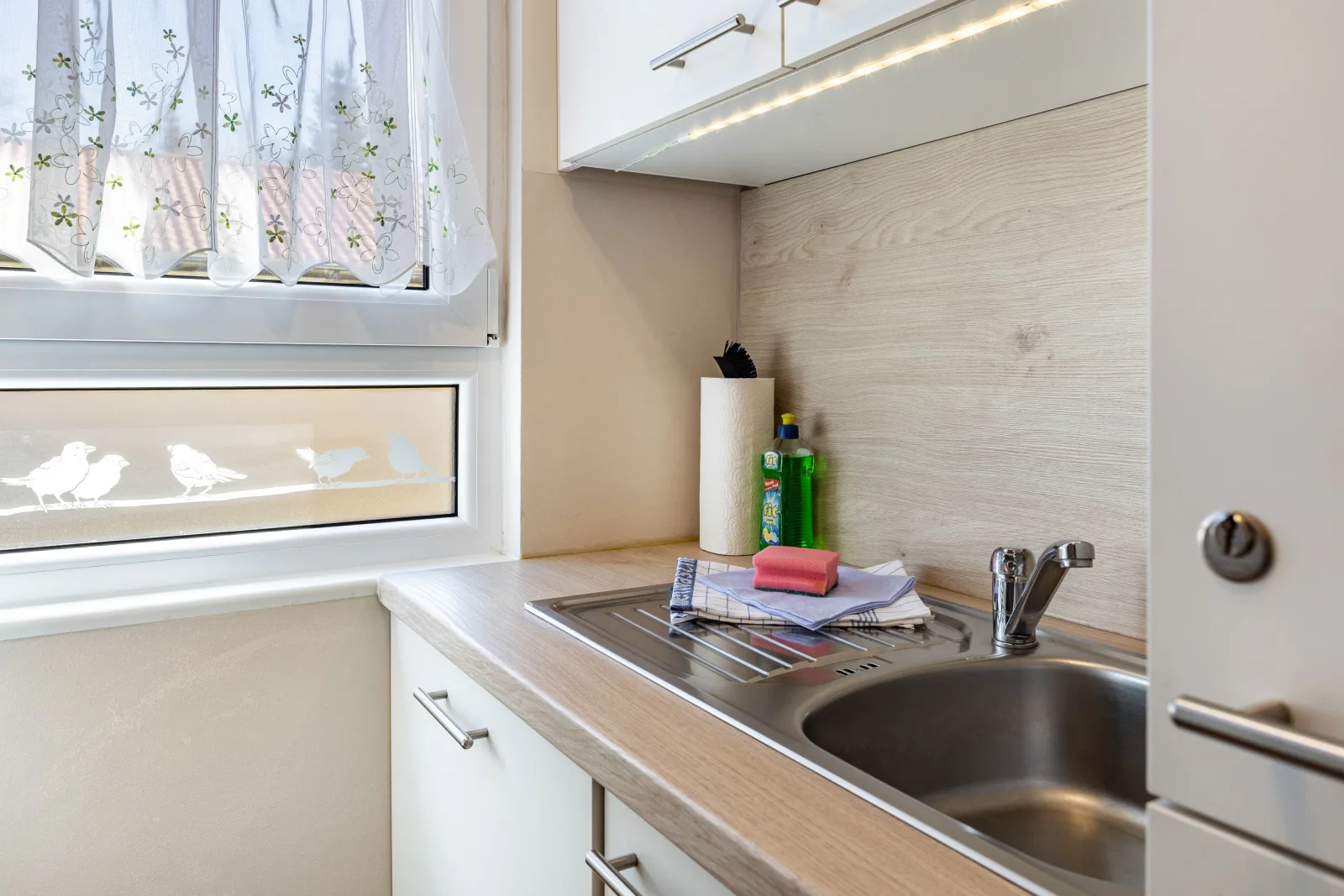 Ferienhaus Zauneidechse im Sternenpark ***