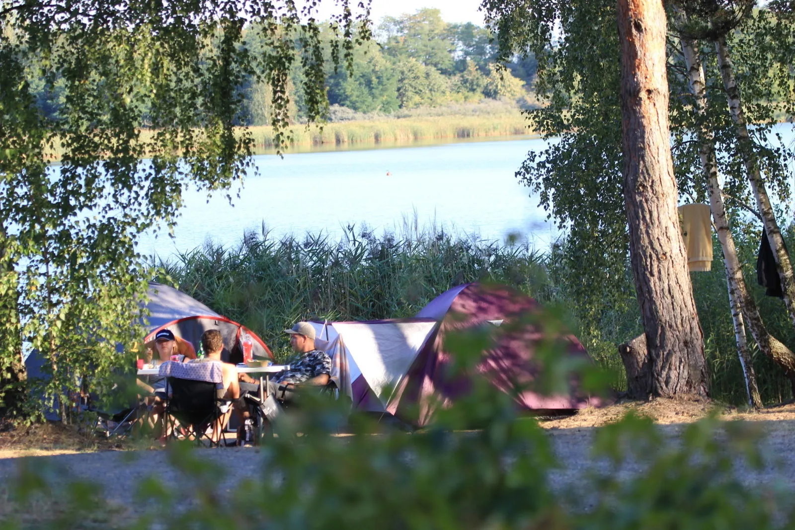Camper Lodge CL2