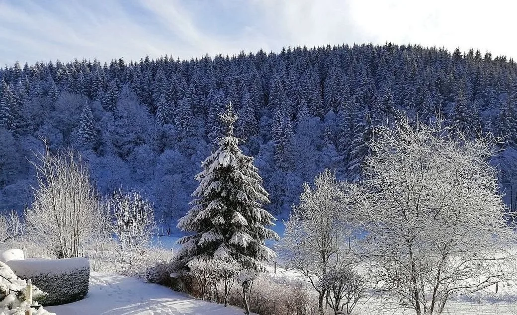 Ferienwohnung Büre Blick