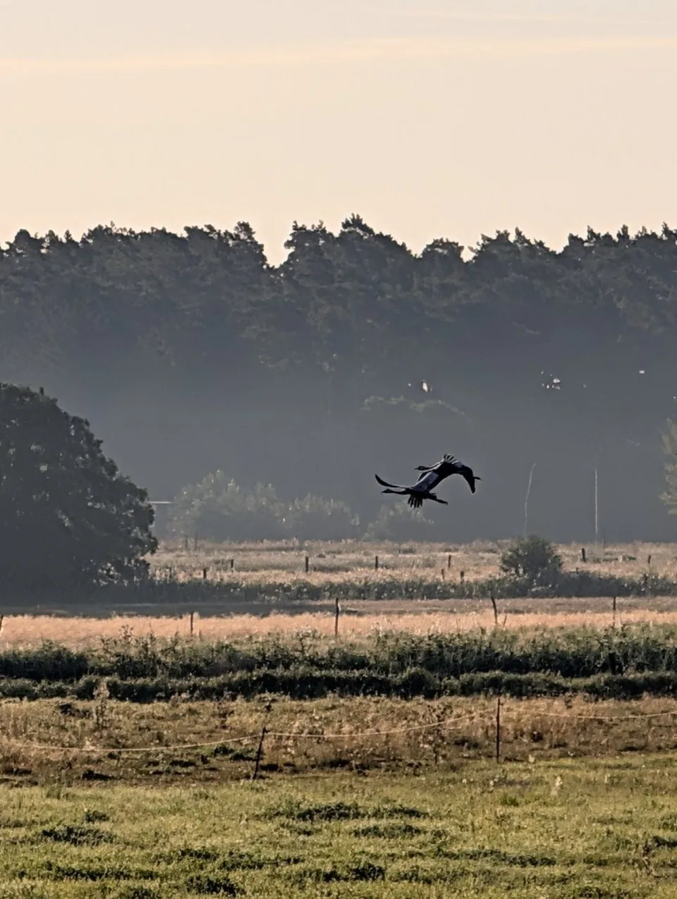 Ruhige FeWo in der Försterei Kalkhorst - Komfort & historisches Ambiente