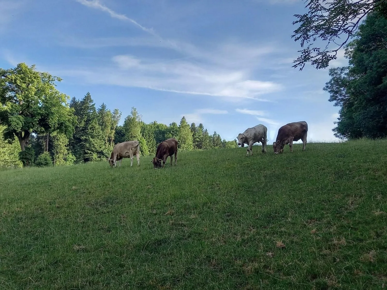 Ferienwohnung AUSZEIT Ottobeuren