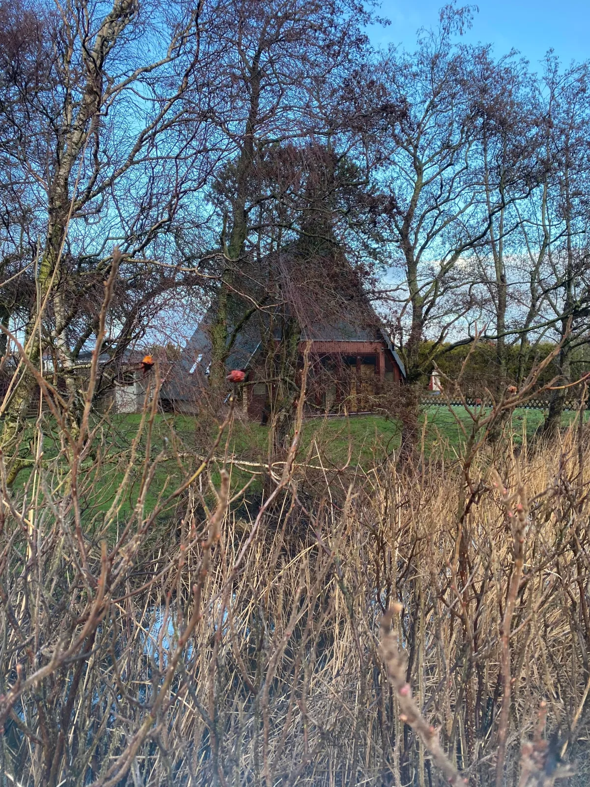 Ferienhaus direkt am Deich