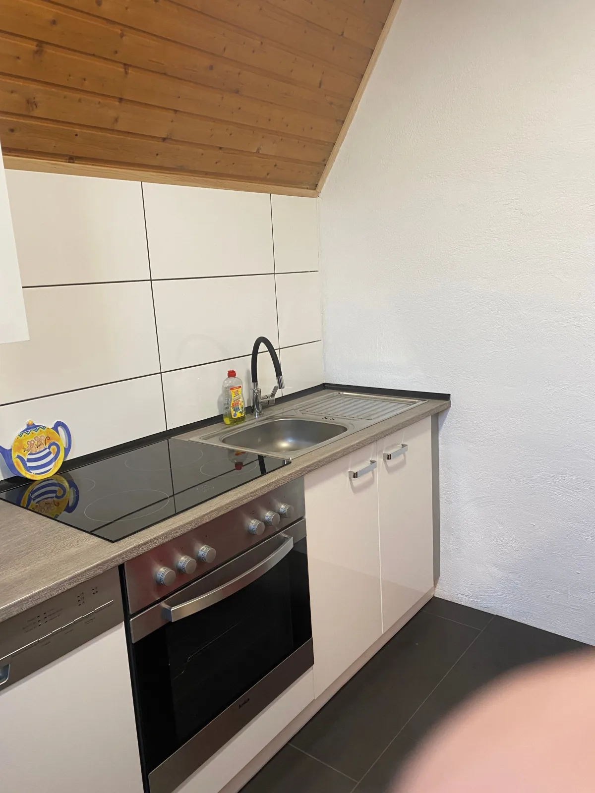 Ferienhaus direkt am Deich