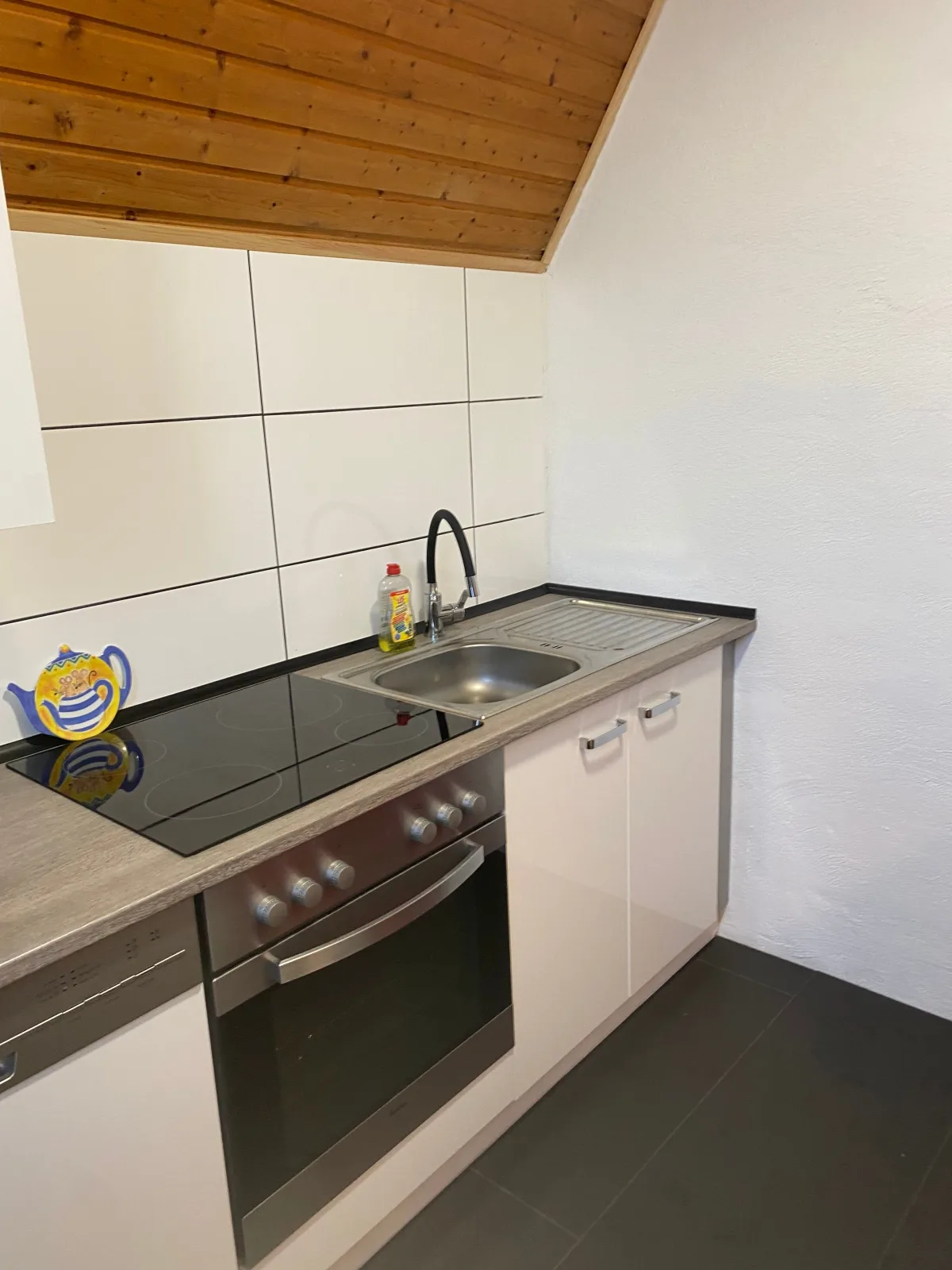 Ferienhaus direkt am Deich