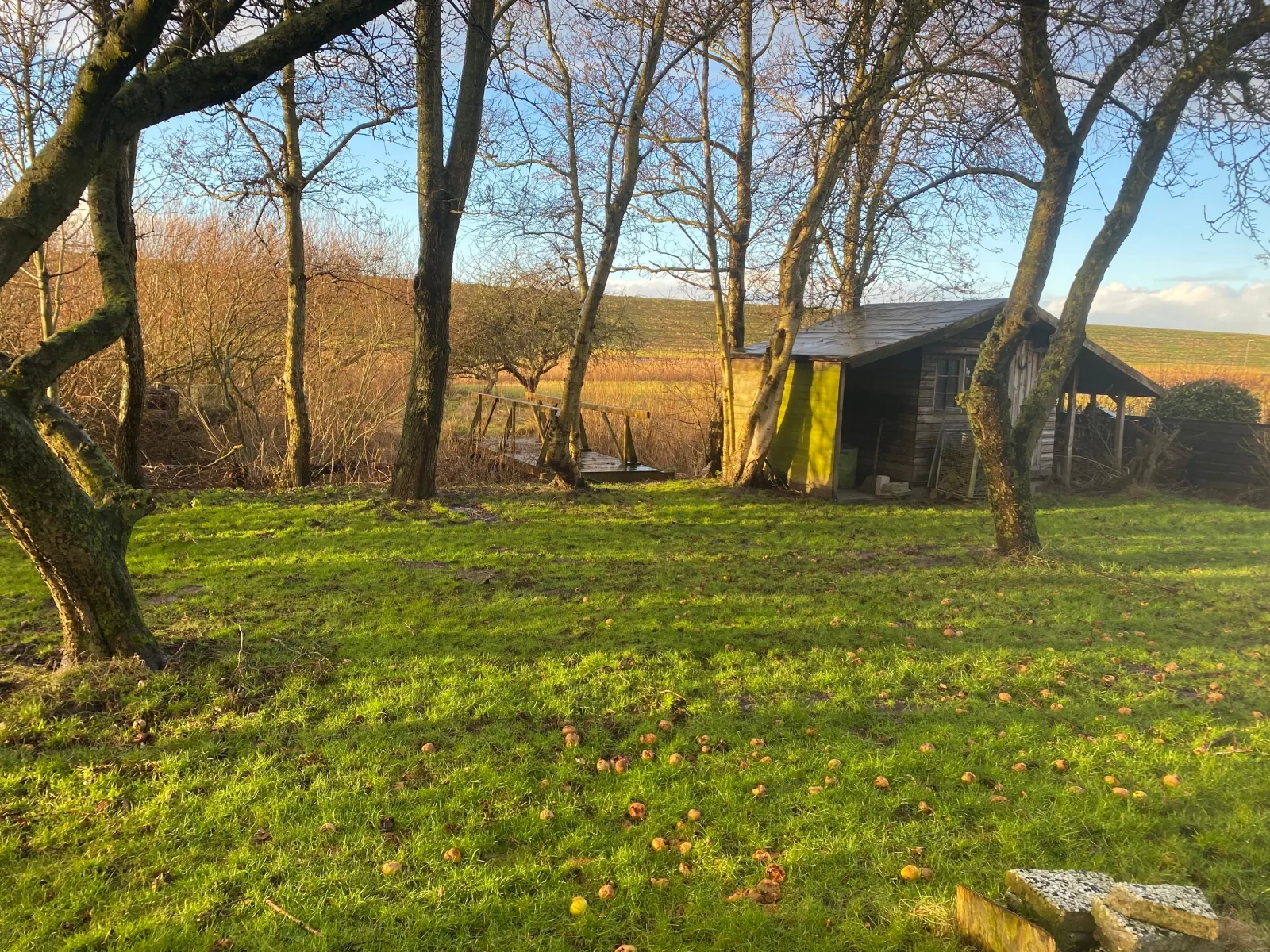 Ferienhaus direkt am Deich