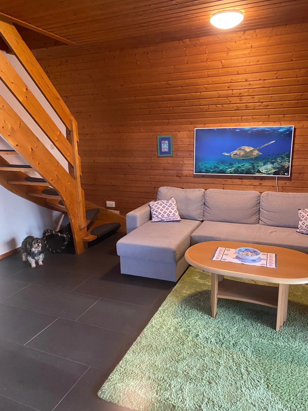 Ferienhaus direkt am Deich