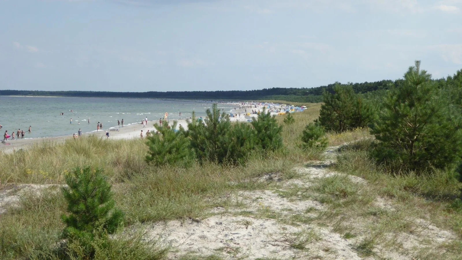  Gut Rattelvitz Galerie D, hochwertig, Sauna, Kamin, eTankstelle, Spielscheune, 15.000qm Parkland