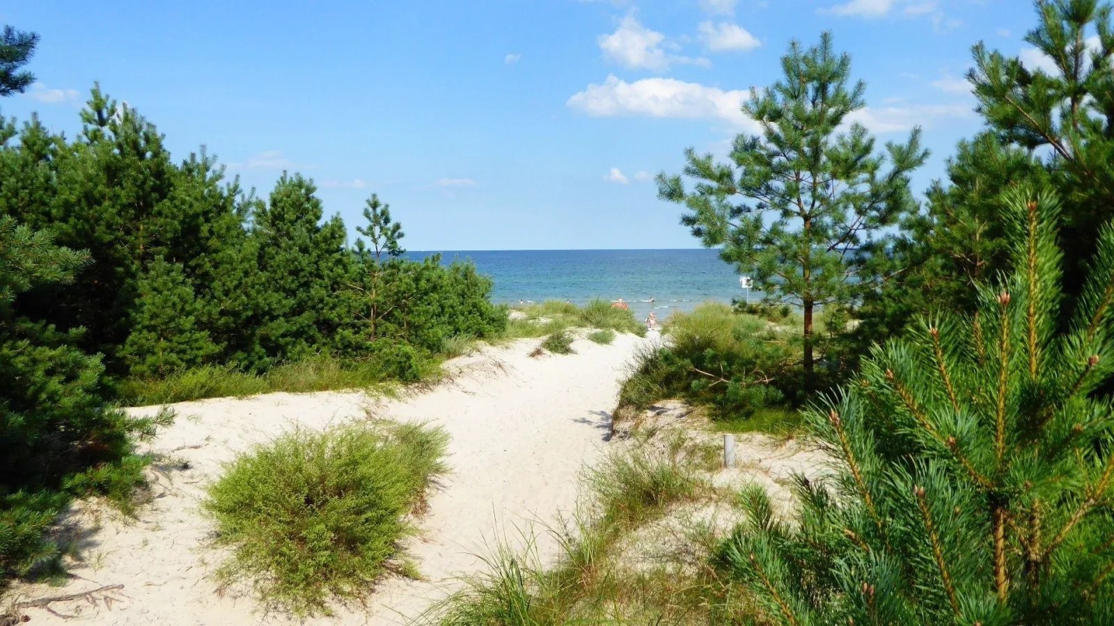  Gut Rattelvitz Galerie D, hochwertig, Sauna, Kamin, eTankstelle, Spielscheune, 15.000qm Parkland