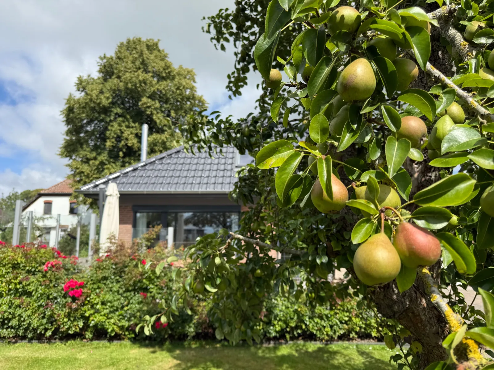 Feriendomizil Rosenhuus  - Hochwertiger Nordseeurlaub mit Sauna und Kamin im idyllischen Butjadingen