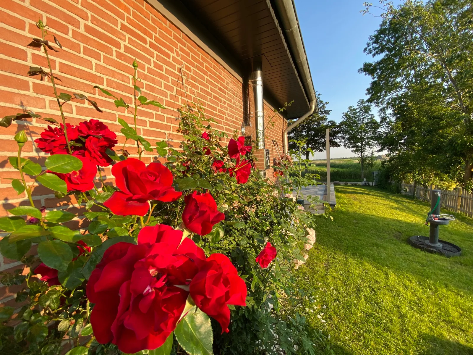 Feriendomizil Rosenhuus  - Hochwertiger Nordseeurlaub mit Sauna und Kamin im idyllischen Butjadingen