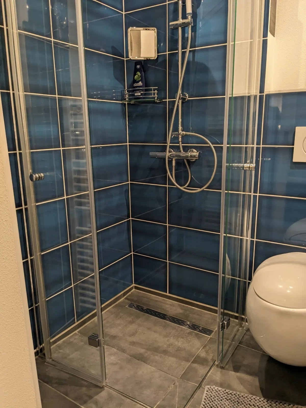 Altes Häusle - Doppelzimmer Weinrebe