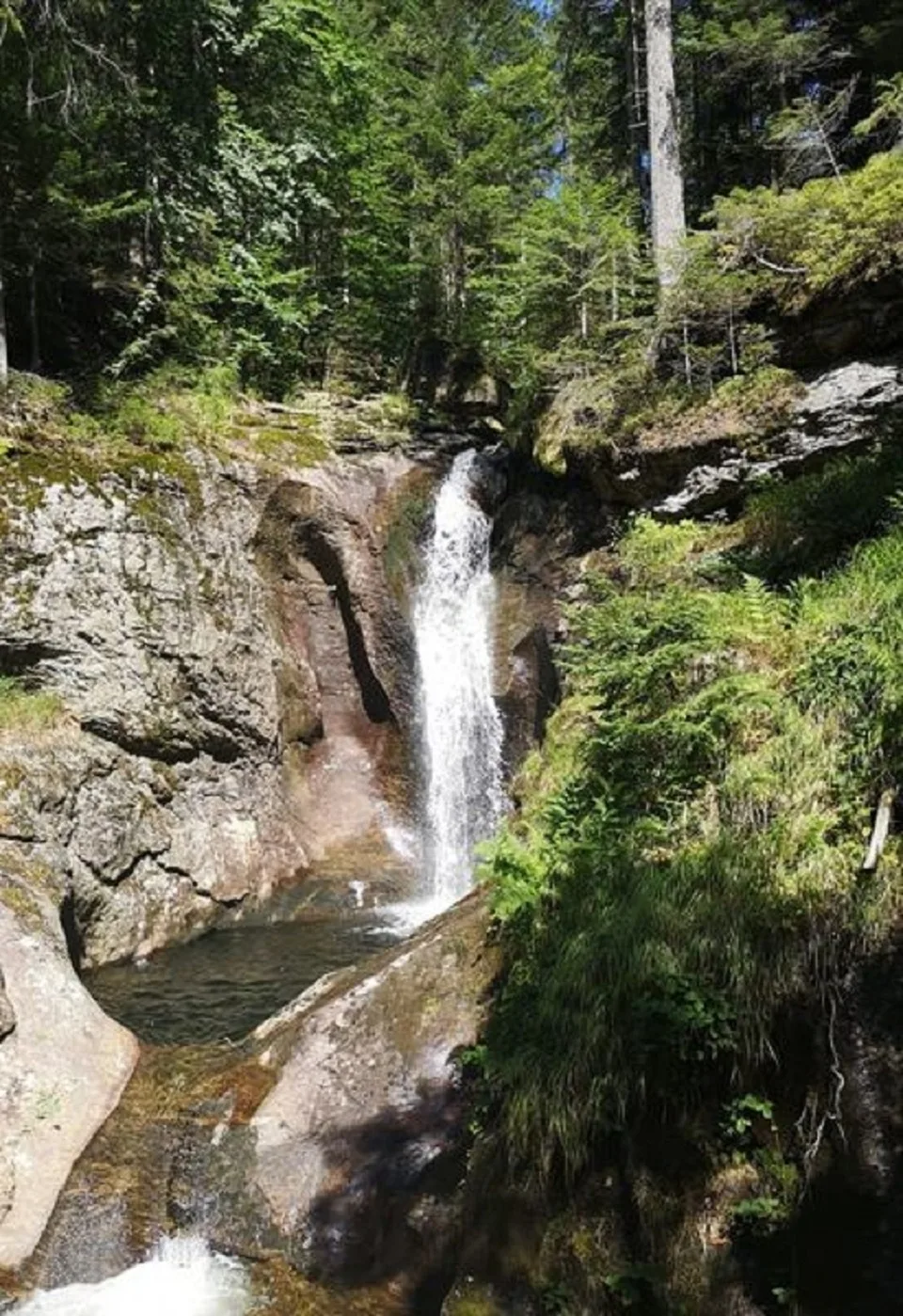 Ferienland Sonnenwald Studio 50