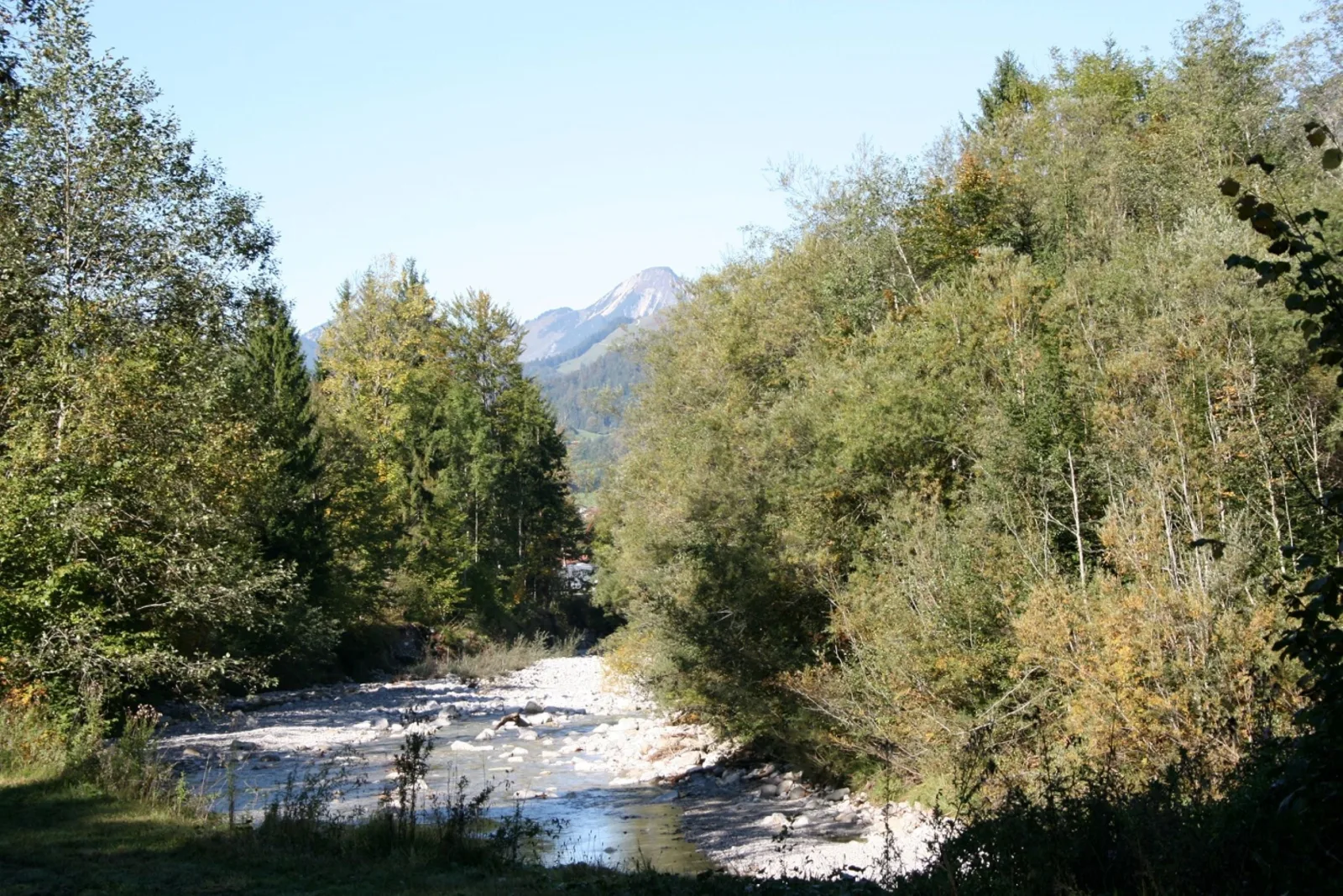 Alpenspatzl