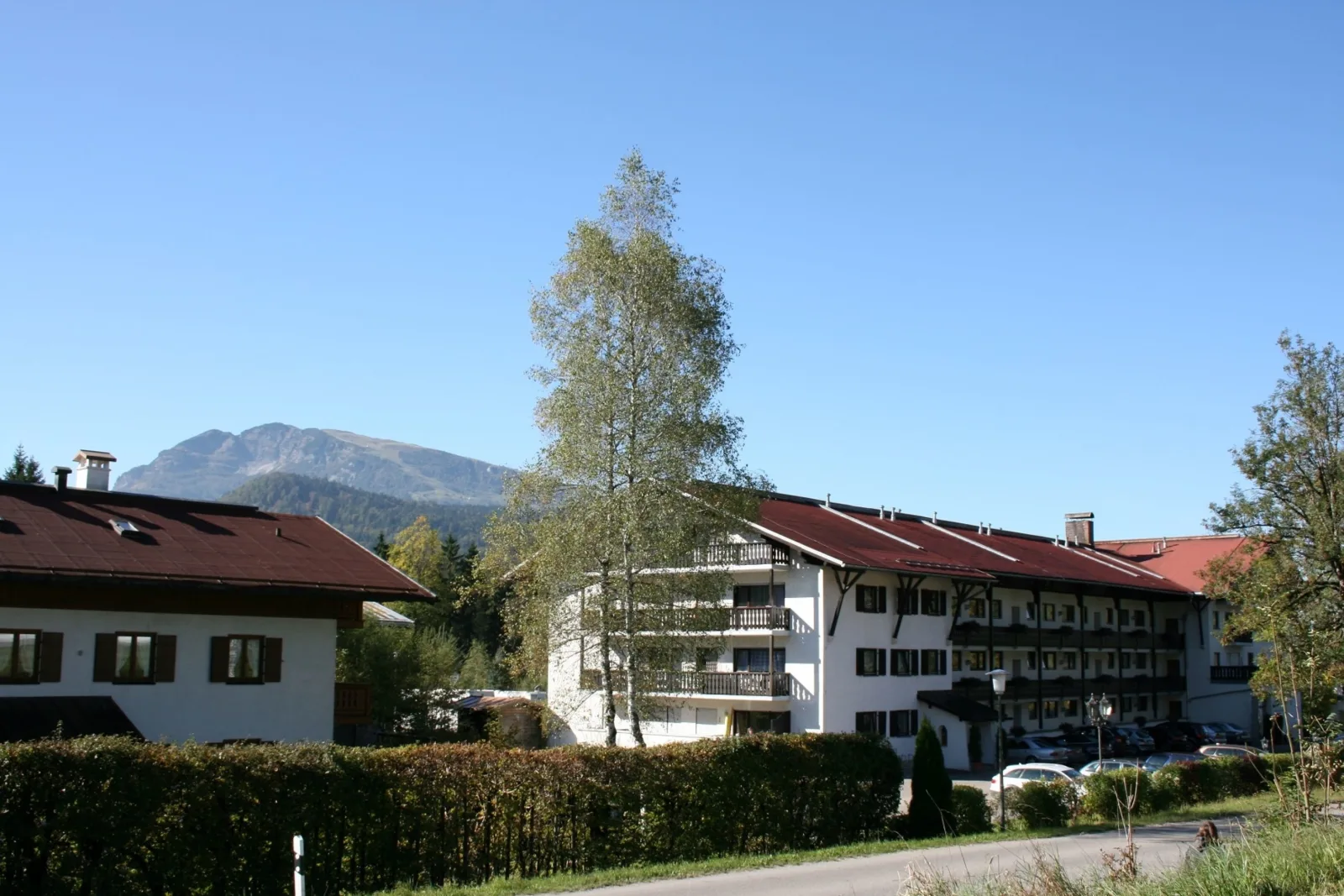 Alpenspatzl