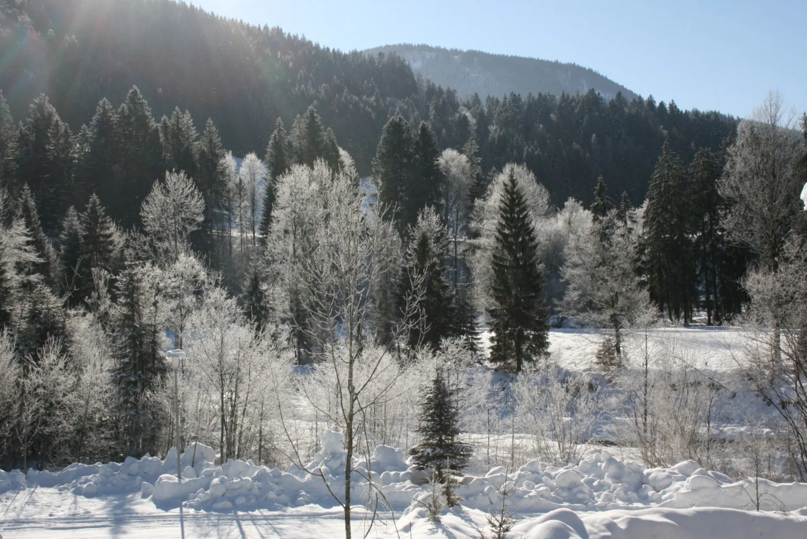 Alpenspatzl