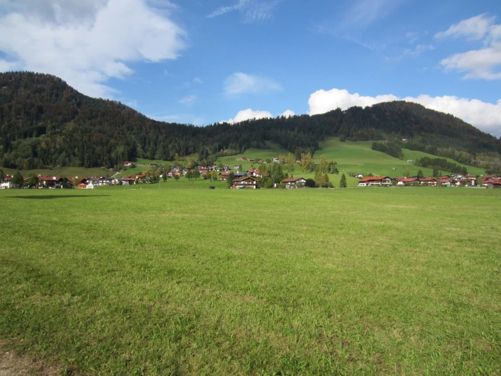 Alpenspatzl