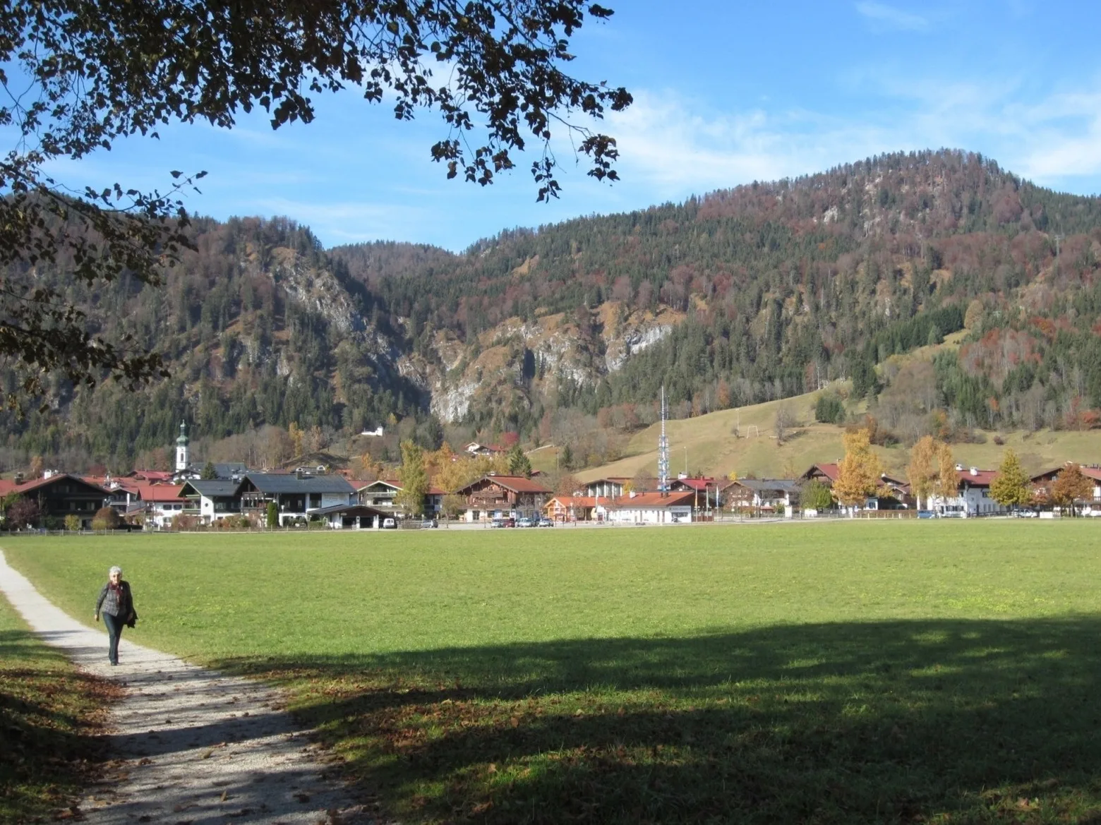 Alpenspatzl