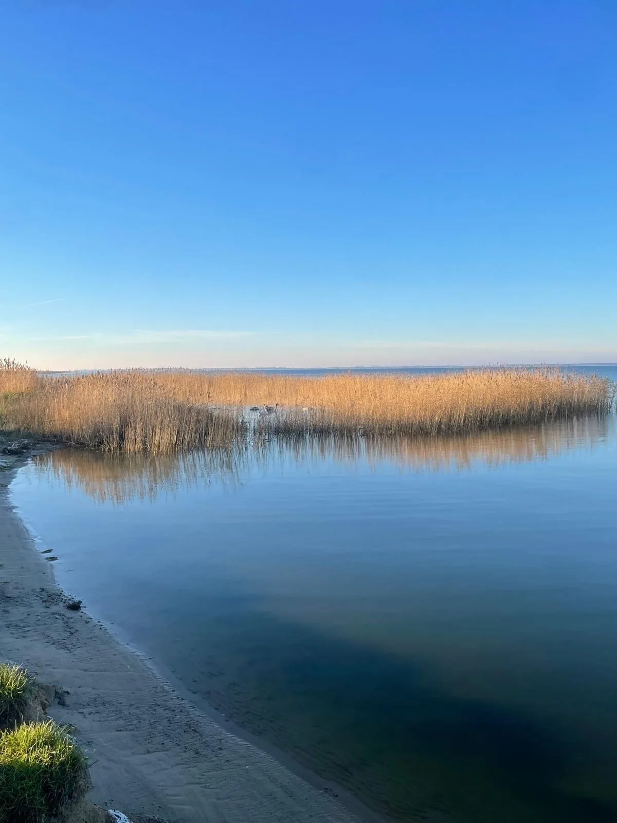 Ferienhaus am Saaler Bodden