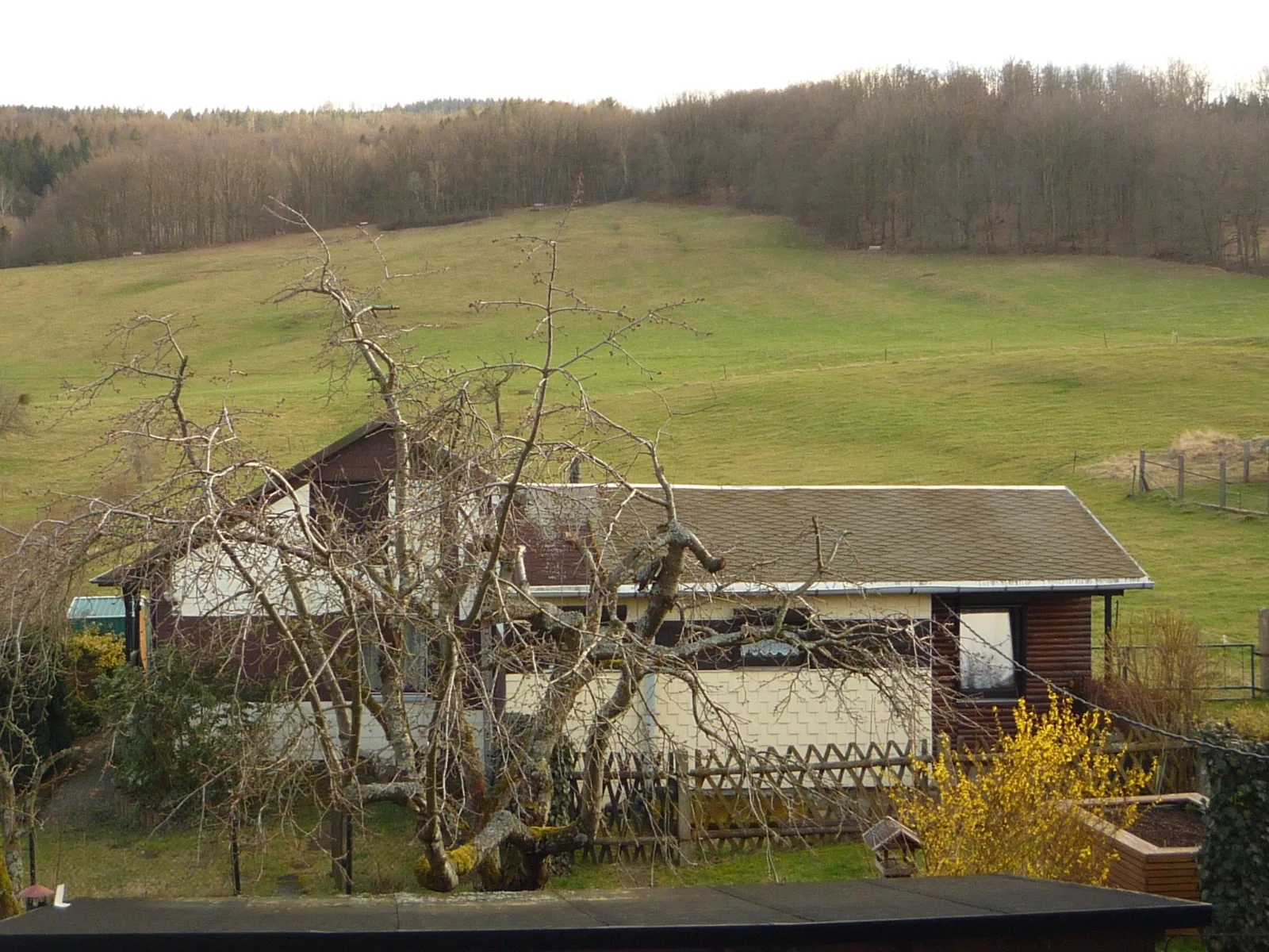 Wiesengrund