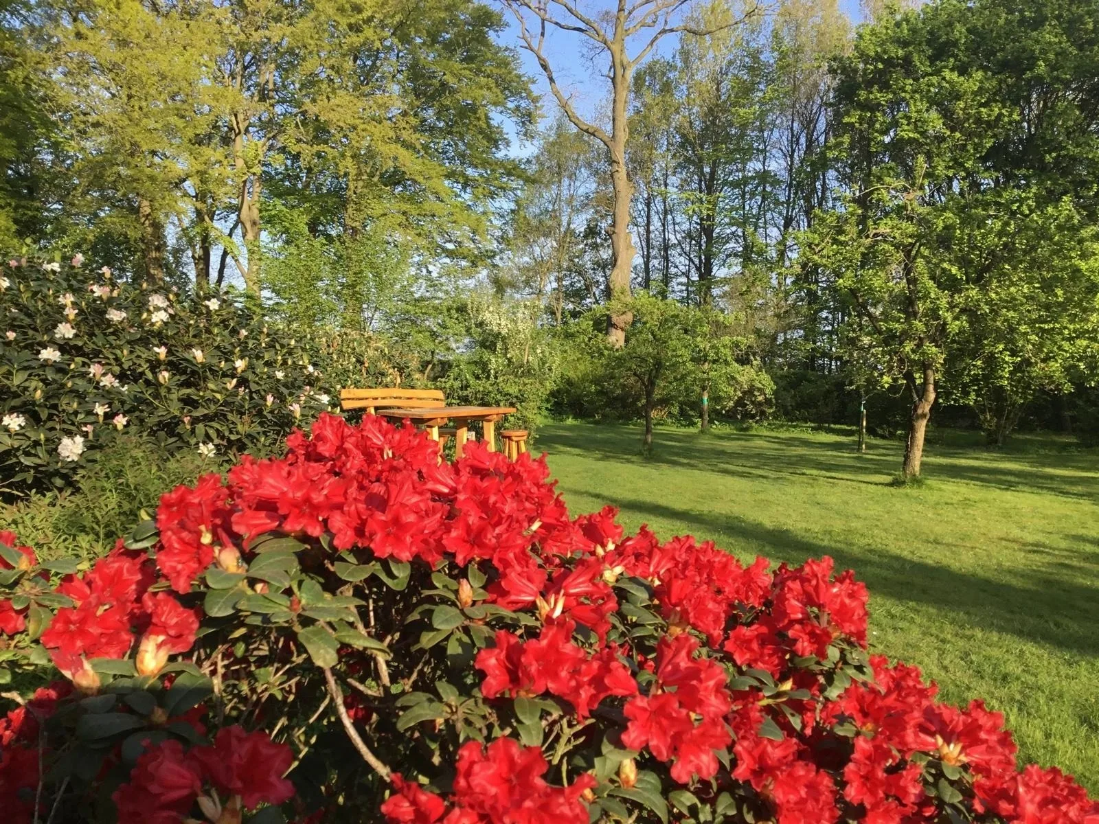 Ferienhaus  beim Rosengarten