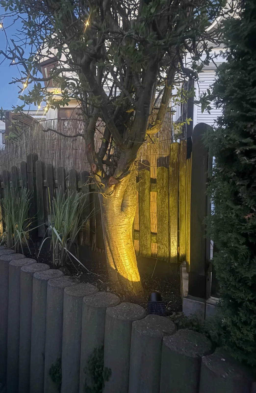 TERRASSENBUTZE by BUTZENFLOTTE Grömitz - XXL Sonnenterrasse