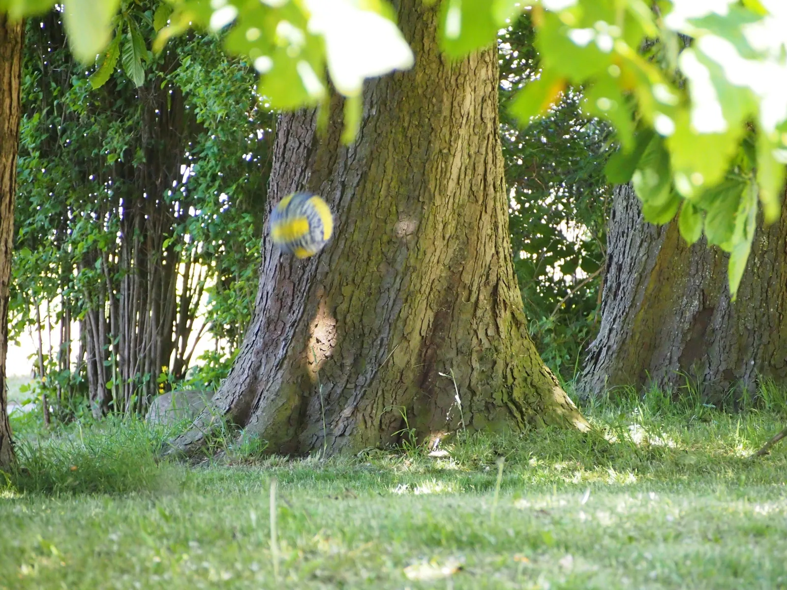 Gut Rattelvitz Parterre A, hochwertig, Sauna, Kamin, eTankstelle, Spielscheune, 15.000qm Parkland