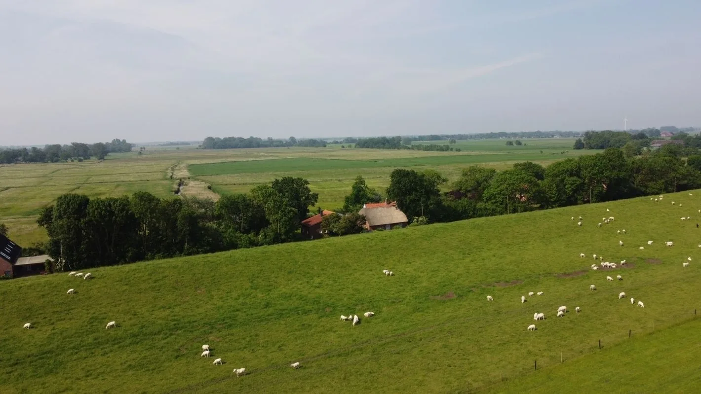 An der alten Scheune