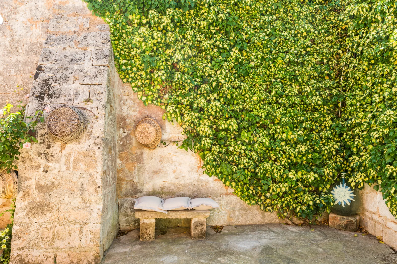 La corte della masseria