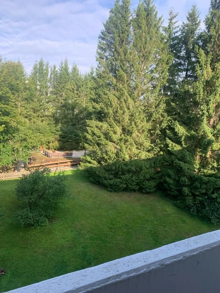 Ferienwohnung im Ferienpark Hahnenklee / Harz