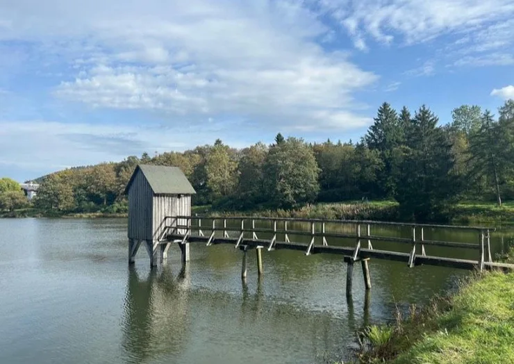 Ferienwohnung im Ferienpark Hahnenklee / Harz