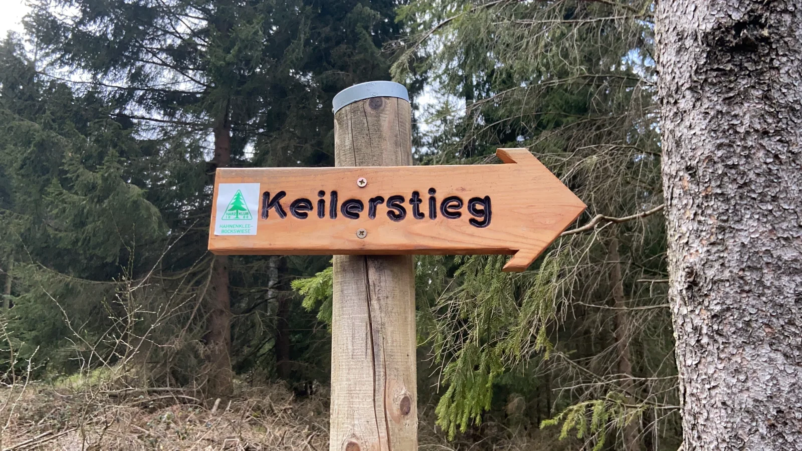 Ferienwohnung im Ferienpark Hahnenklee / Harz