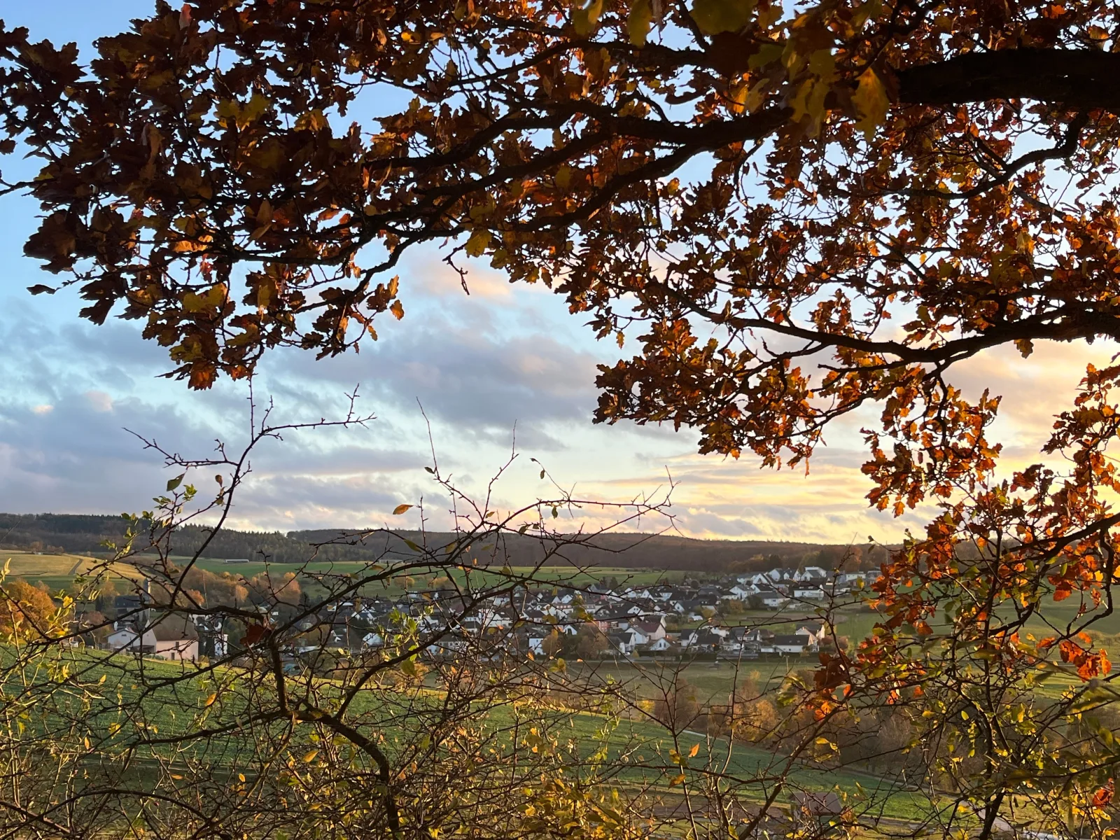 Ferienwohnung Taunusidylle