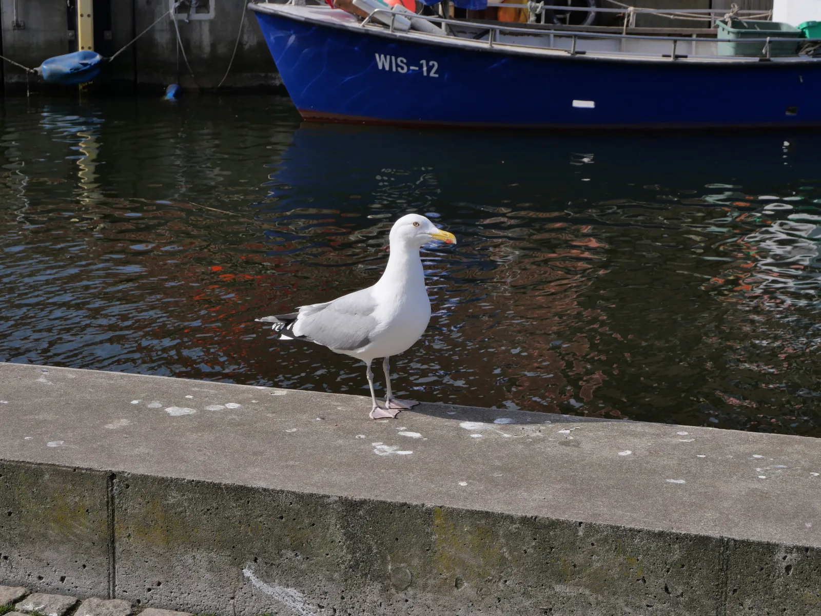 Ostsee-Weitblick zw. Rostock und Wismar