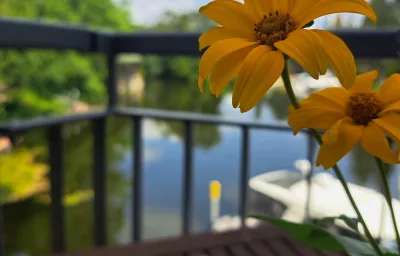 Wasserblick 4