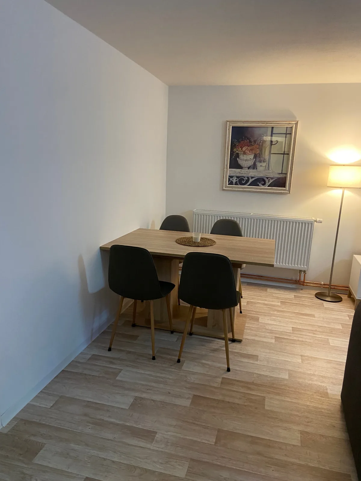 FeWo Krems "Unnerkant" Steinhude