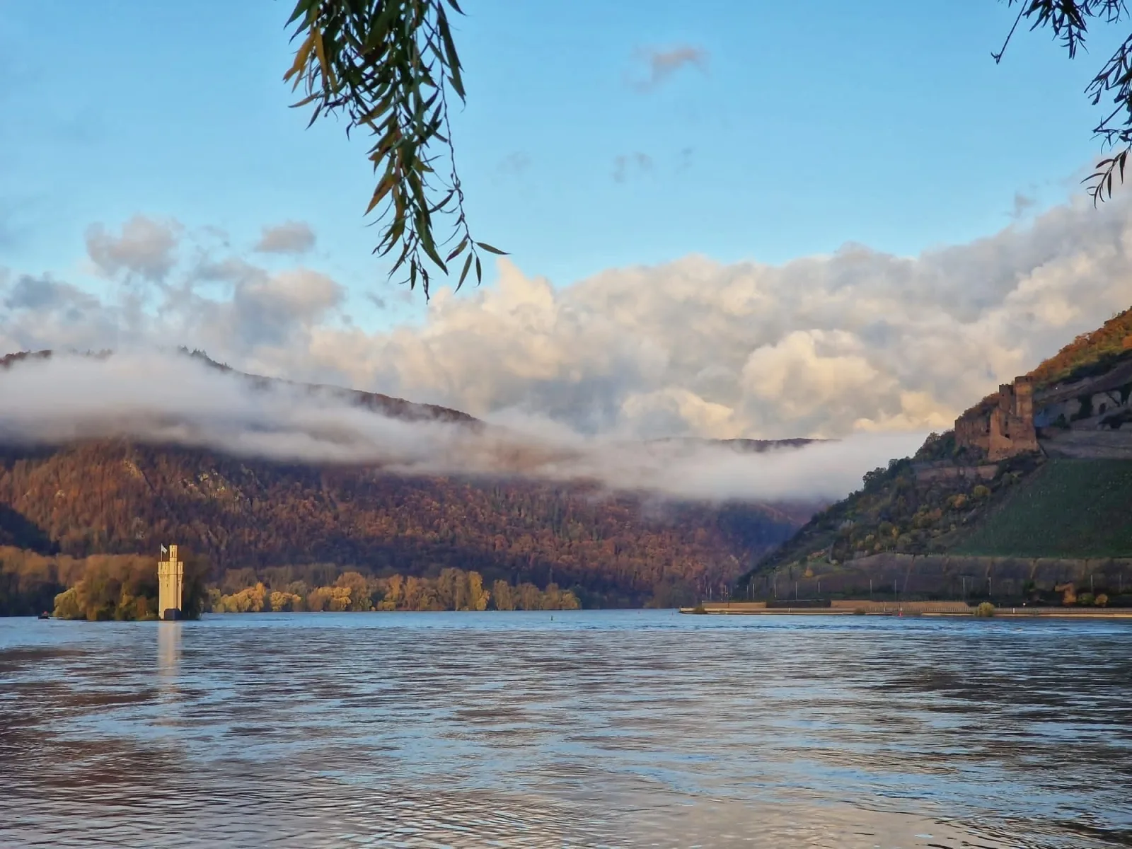 Ferienwohnung Rheinblick
