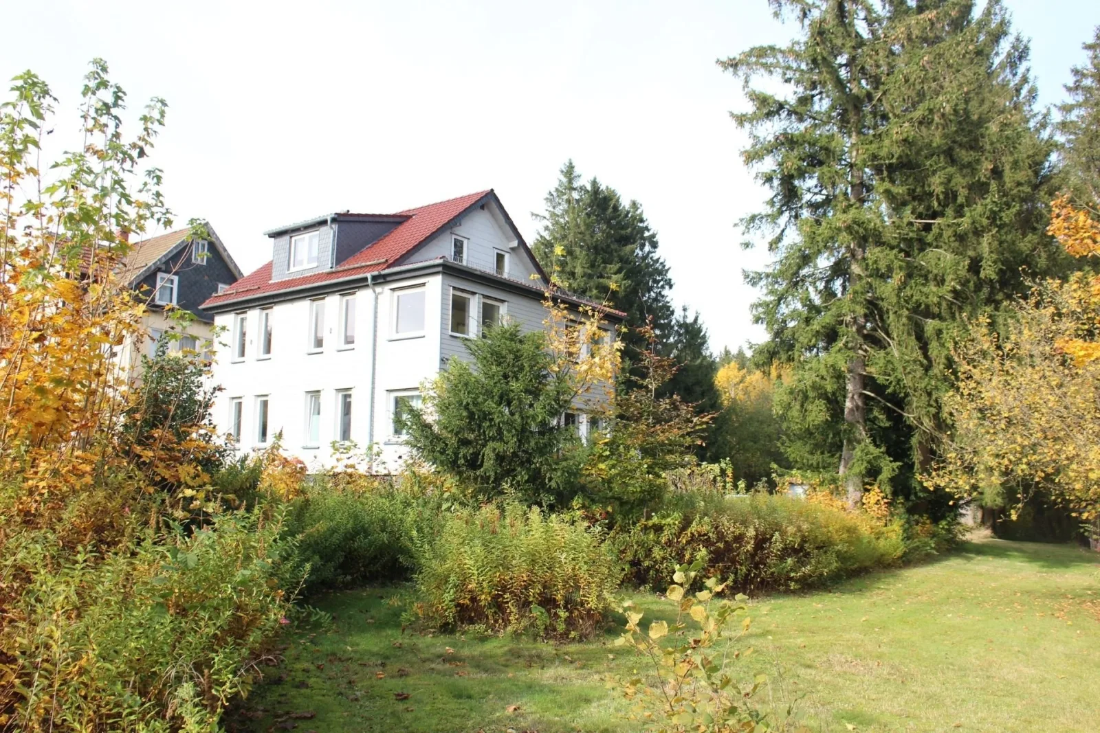 Apartment Pusteblume