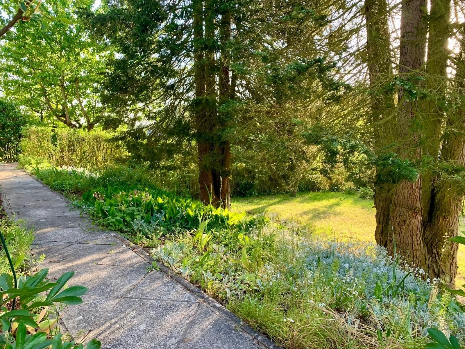 Haus am See mit Kamin in Mecklenburg