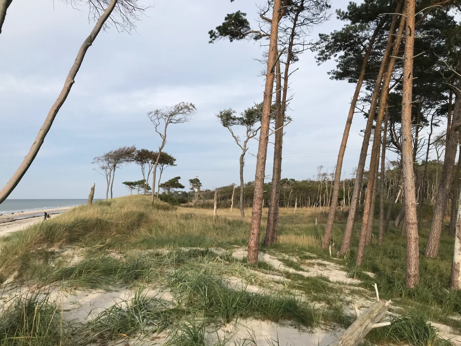 Ferienhaus Ostsee