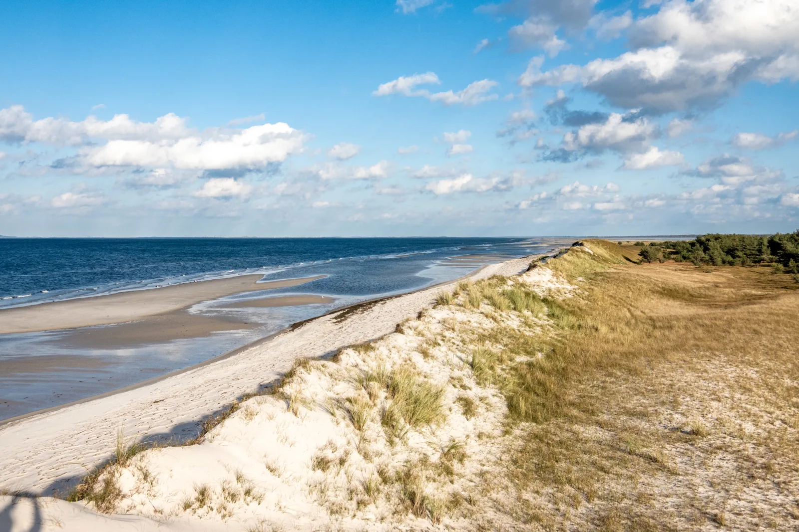 Hundeparadies "Bodden Paradise Cottage"