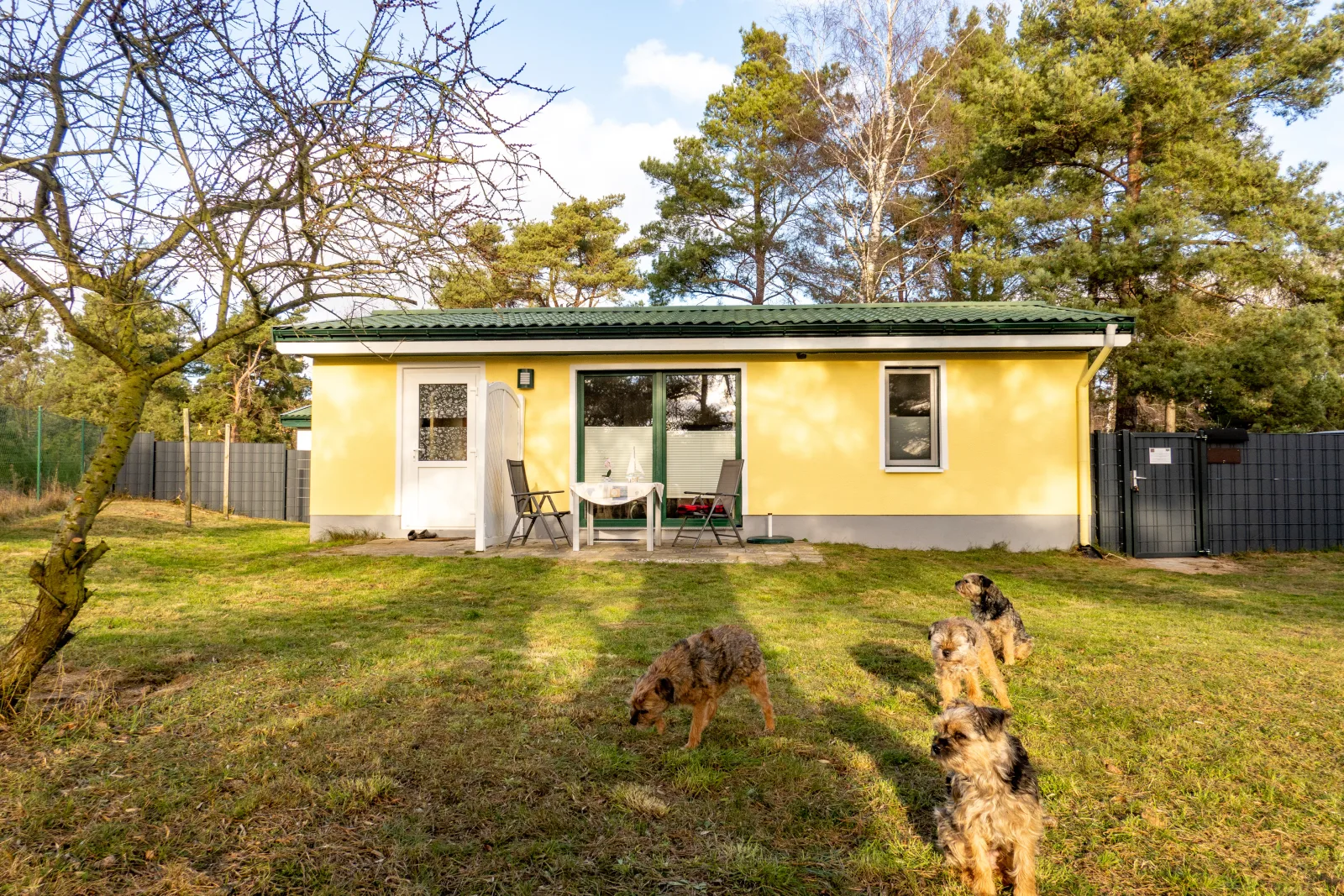 Hundeparadies "Bodden Paradise Cottage"