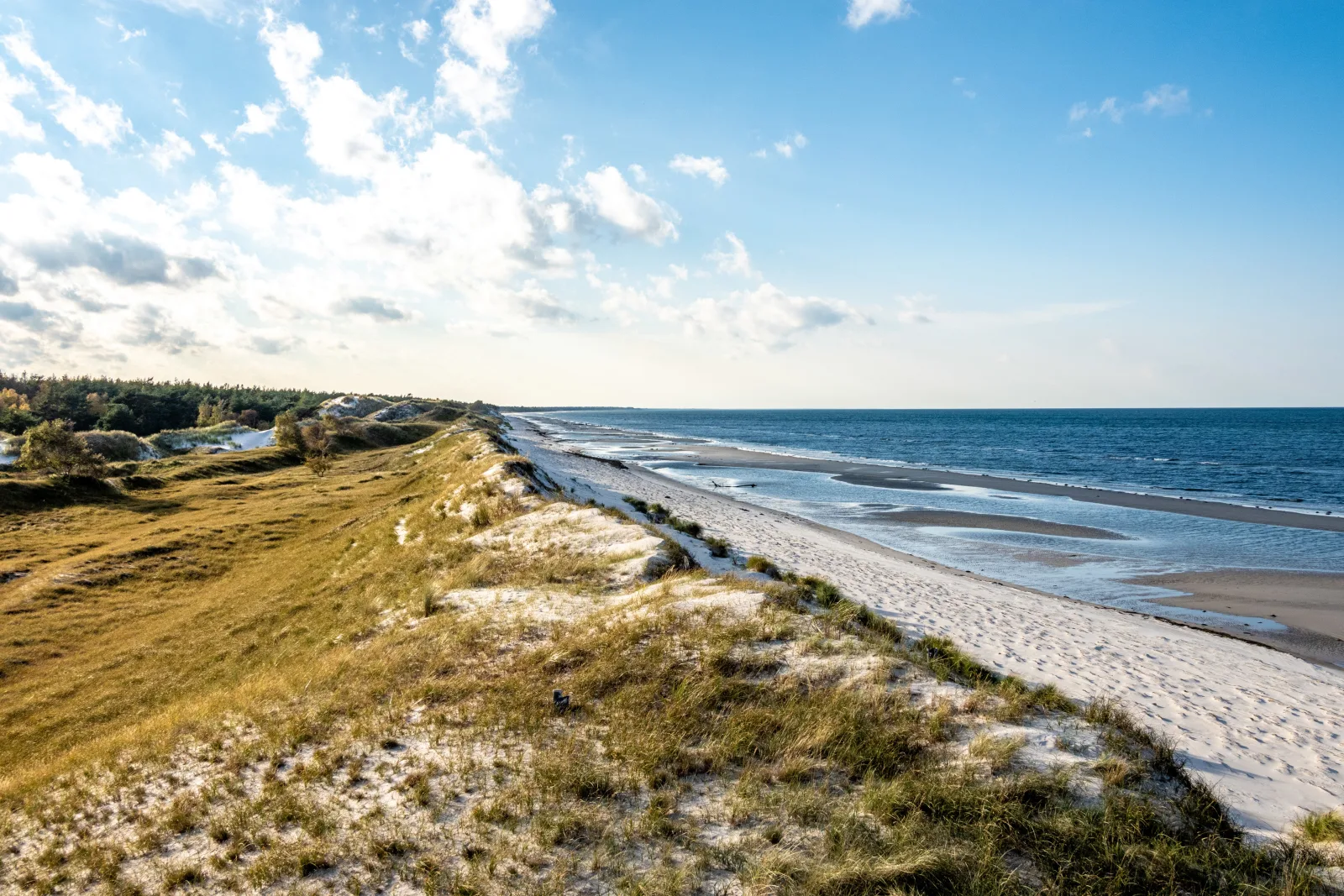 Hundeparadies "Bodden Paradise Cottage"