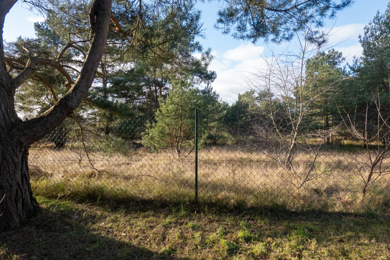 Hundeparadies "Bodden Paradise Cottage"